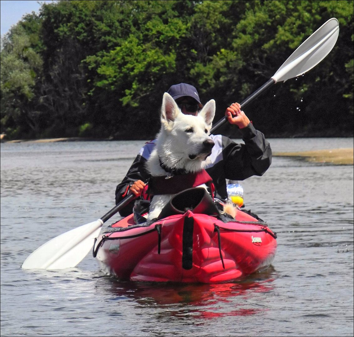 L'Allier et la Loire en kayak gonflable avec un chien